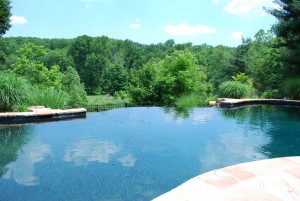 Swimming Pool design in Clarksville, Ellicott City, Glenwood, Glenelg, Cooksville, Fulton, Olney & Brookville
